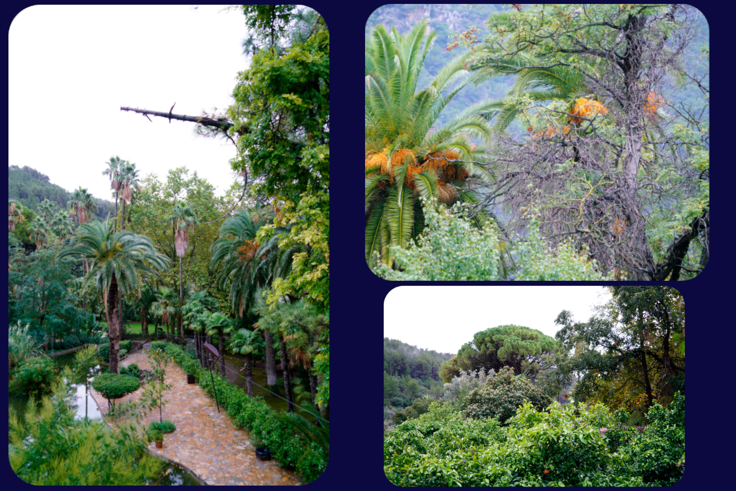 Mallorca Garten Alfabia